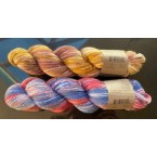 Aruacania Huasco Sock Yarn